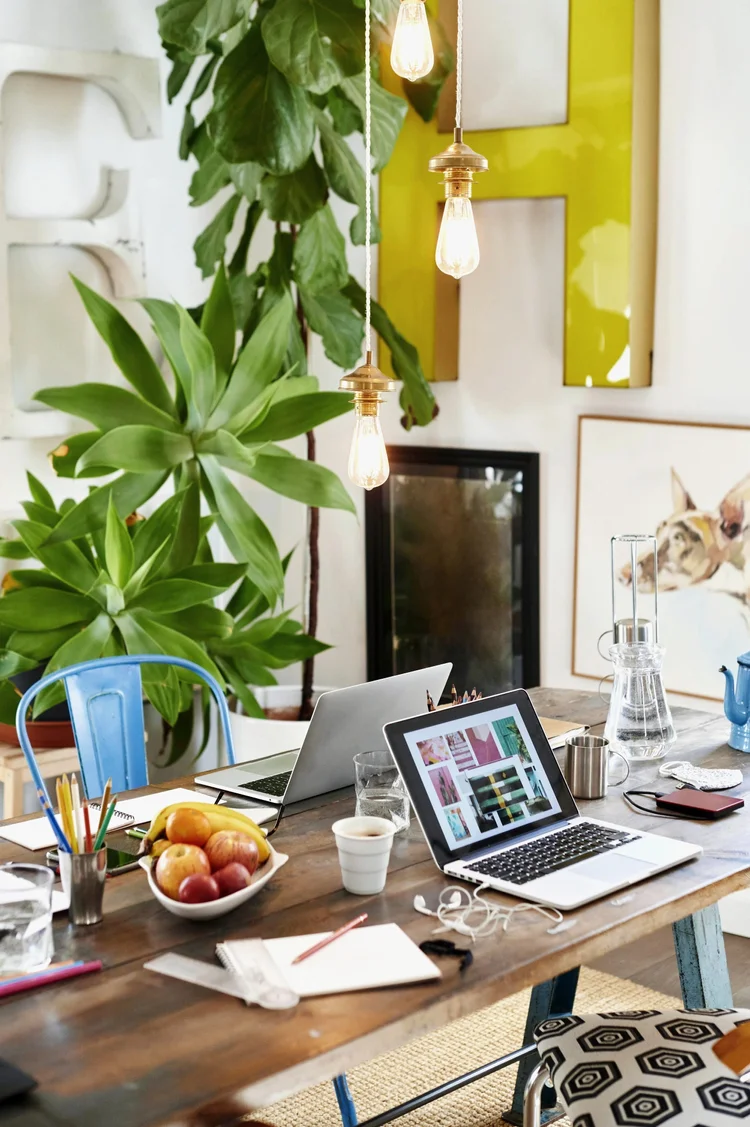 Colourful office table with paperwork, laptops and plants